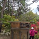 초록공원약수터 이미지