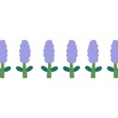 로이펫살롱 이미지