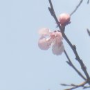 관악산현대홈타운 이미지