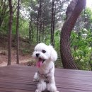 벨라동물병원 이미지