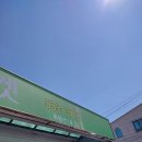 창녕농업협동조합 파머스마켓