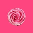 하야루비 | 스타벅스 신메뉴 ‘루비로즈 초콜릿’ 먹어봤어요🌹