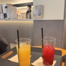 세라잼 웰카페 수원인계직영점 v7 무료 체험 카페 후기 ☕💆‍♀️