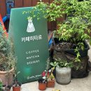 골목카페 - 거제시 | 부산 말차 카페 히타로, 사직야구장 근처 숨은 골목 카페 내돈내산 후기