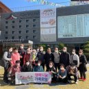 동대문구 치매안심센터 이미지