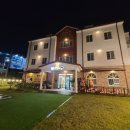 왕짱애견유치원 이미지