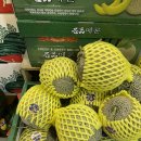 신선청과 이미지