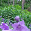 성경공인중개사사무소 이미지