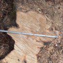 은평-034 이미지