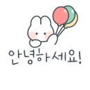 오늘의 댕댕 이미지