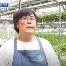 승부농장 이미지