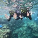 알맹이민박 | 오키나와 2일차 🌴 지바고 커피/푸른동굴 스노쿨링(루리 오키나와)/The Bros. Sandwich Stand/만좌모...