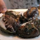 원이네민박 이미지