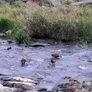 독봉산약수터 이미지