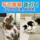 두리동물클리닉 이미지