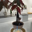 그린다이닝 이미지