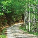 문막체육공원길 이미지