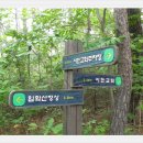 입화산참살이숲 이미지