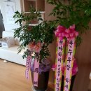(주)다하리