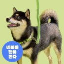 주식회사 블루라임커뮤니케이션즈 | 강형욱 공식 브랜드 퍼피즈 목줄 리드즐 강아지 네임태그 이름표