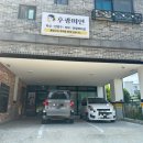 후광미인 이미지