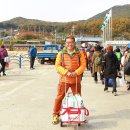 호치스 이미지