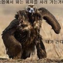 농협하나로마트 이미지