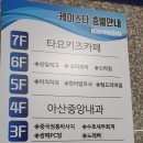 타요키즈카페 티스토리