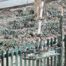 새들약국 이미지