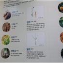 대조한의원 이미지