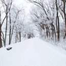 하늘 빛 꿈 이미지