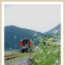 아우라지역 이미지