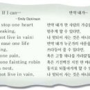 시감상 - (419) 에밀리 디킨슨의 ‘만약 내가…’/ 시 전도사 강남국 이미지