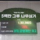 그루 - 문경시 당교1길 39 | 그루