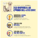 닥터펫 플러스 동물병원 이미지