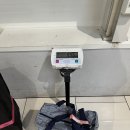 엠스(M's) | 12월초 청수사 단풍, 간사이공항 2터미널에서 교토, 청어소바 마츠바, 호텔 더 엠스교토(The m&#39;s kyoto)