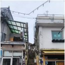 육림개발 이미지