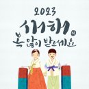 명품김밥멸치국수석촌호수 이미지