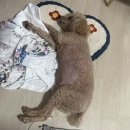 텐퍼센트(서구청점) 네이버블로그