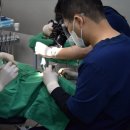 프렌즈치과의원 네이버블로그