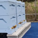 논일농장 이미지