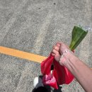 한국기가포톤 노동조합 | [일본 워홀] 오사카 살이 2주차 (26.5.25.~26.5.31.)