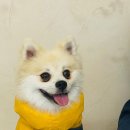 플러스82 계양점