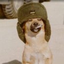 복 - 서구 대영로 37 | 복