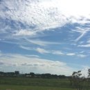 백진공원(야구장) 이미지