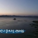 강산 이미지