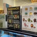 스윗다이노 이미지