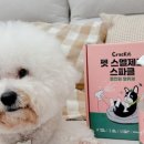 애완족