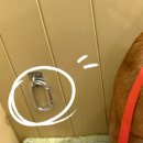 해피버트데이 이미지