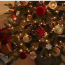 칸타빌레음악학원 이미지